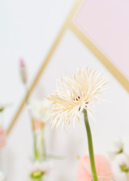 芬琳絲柔漆怎樣？揭開芬琳絲柔漆的真面目
